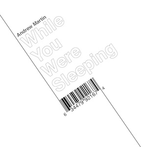 While You Were Sleeping (Reissue) - Andrew Martin (2009) cover