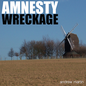 Amnesty/Wreckage - Andrew Martin (2004) single cover