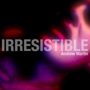 Irresistible - Andrew Martin (2009) cover
